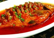 正宗的番茄鱼做法(番茄红烧鱼的做法和步骤)
